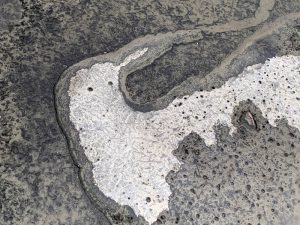 Onlinekurs abstrakte Fotografie, foto.kunst.kultur, Helga Partikel