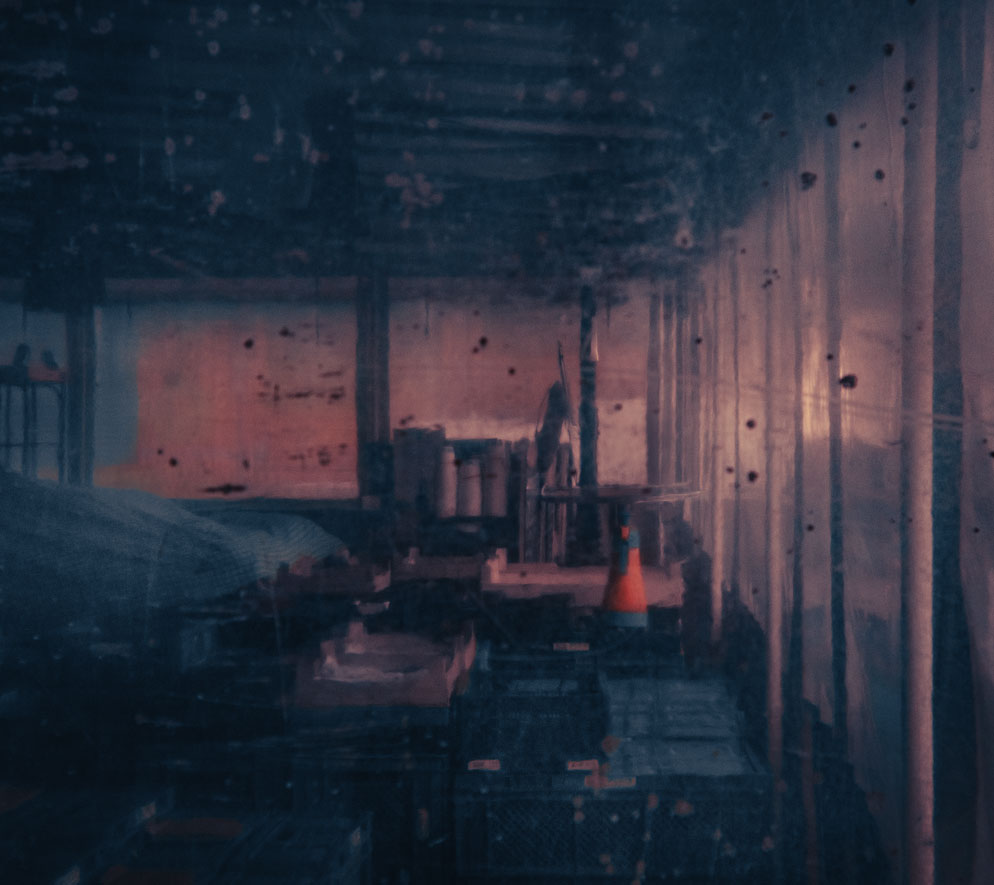 Christa Schiffner, Reale Surrealität, Meisterklasse, foto.kunst.kultur