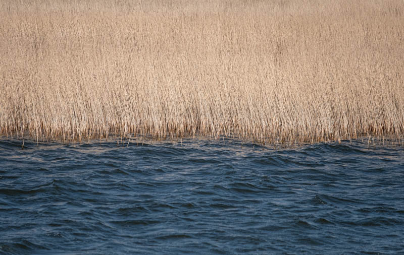 Farbkontraste, Helga Partikel, foto.kunst.kultur
