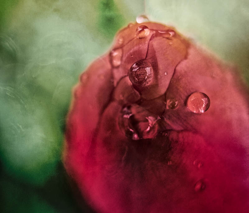 Farbkontraste, Helga Partikel, foto.kunst.kultur