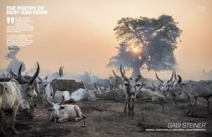 Gabi Steiner, Lens Magazine, foto.kunst.kultur