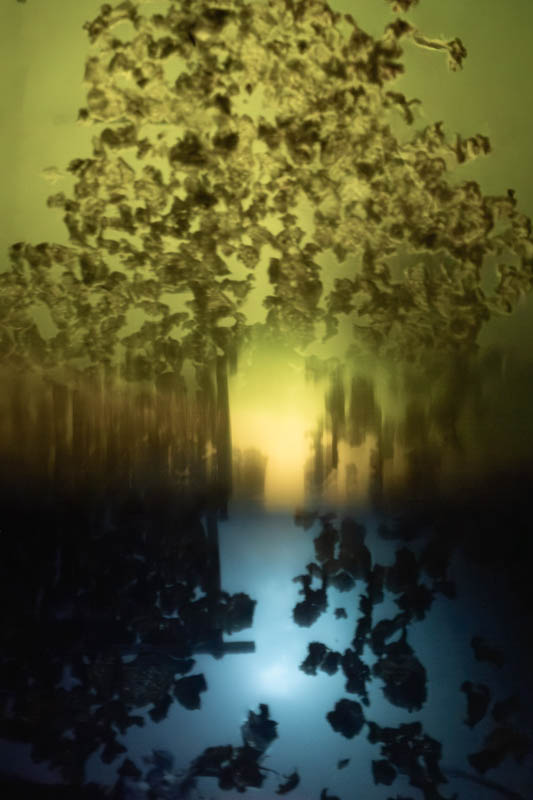 Birgit Beinborn, Fotoexperimente, Egglhof, foto.kunst.kultur