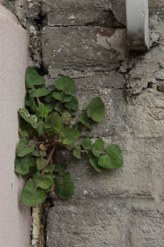 Birgit Pricken, Wabi-Sabi, foto.kunst.kultur