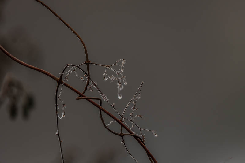 Birgit Pricken, Wabi-Sabi, foto.kunst.kultur