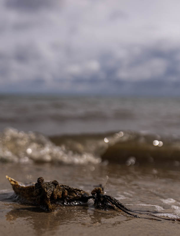 Birgit Pricken, Wabi-Sabi, foto.kunst.kultur