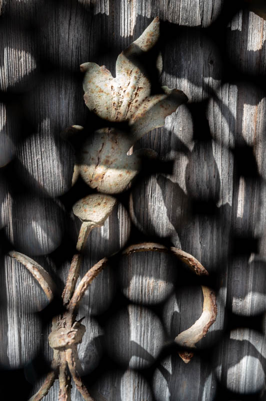 Christa Prechtl, Fotoexperimente, Egglhof, foto.kunst.kultur