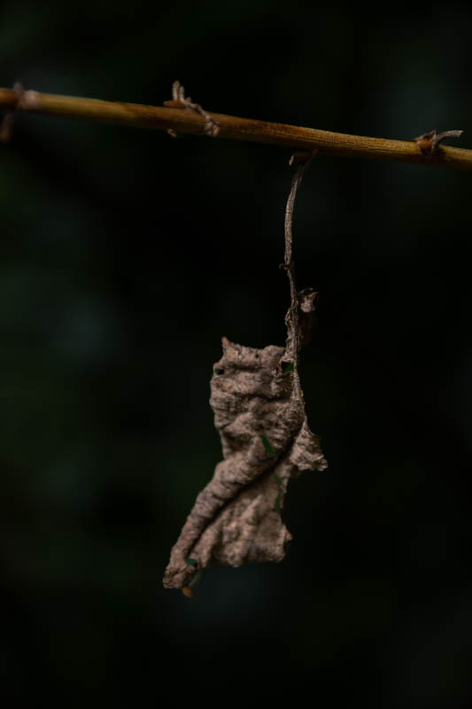 Claudia Spring, Wabi-Sabi, foto.kunst.kultur