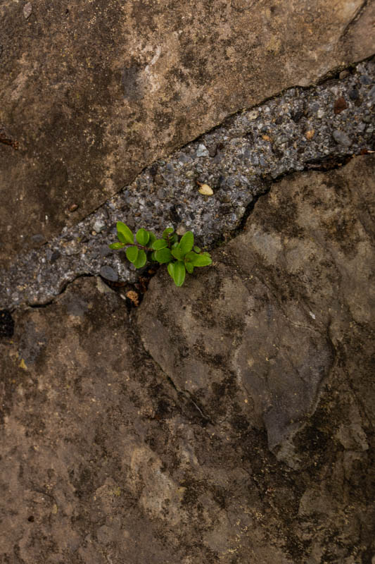 Claudia Spring, Wabi-Sabi, foto.kunst.kultur