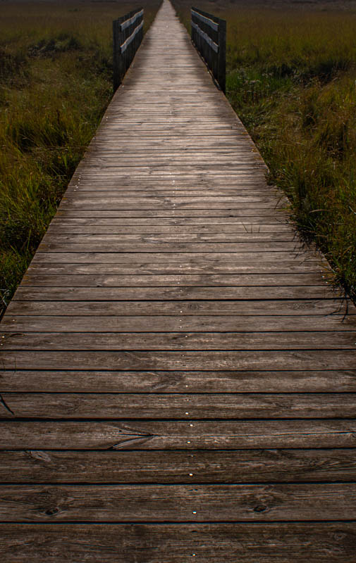 Claudia Spring, Wabi-Sabi, foto.kunst.kultur