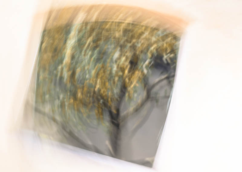Helga Daniel, Fotoexperimente, Egglhof, foto.kunst.kultur