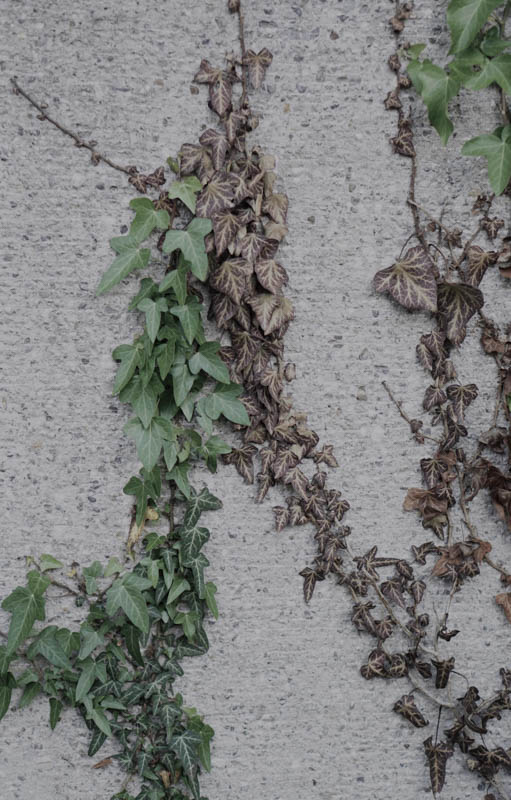 Miriam Lehner, Wabi-Sabi, foto.kunst.kultur