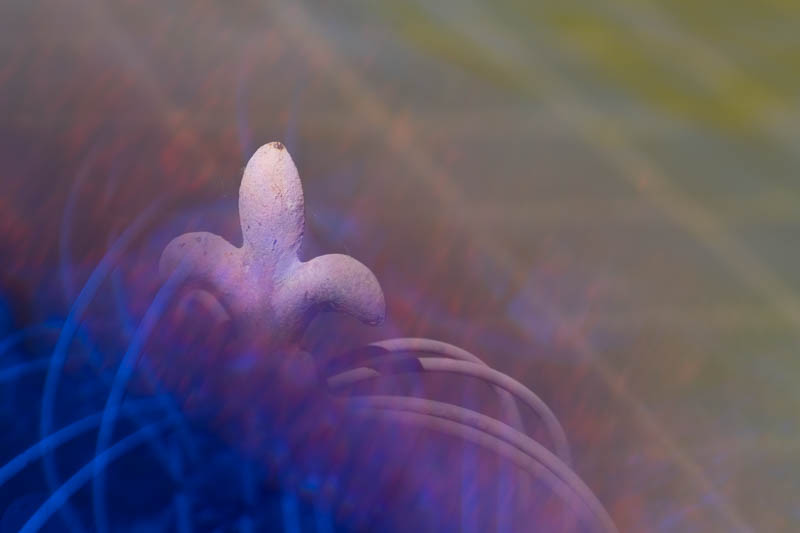 Oskar Zierer, Fotoexperimente, Egglhof, foto.kunst.kultur