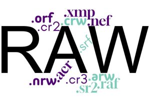 raw-xmp-acr, Lightroomfoto.kunst.kultur