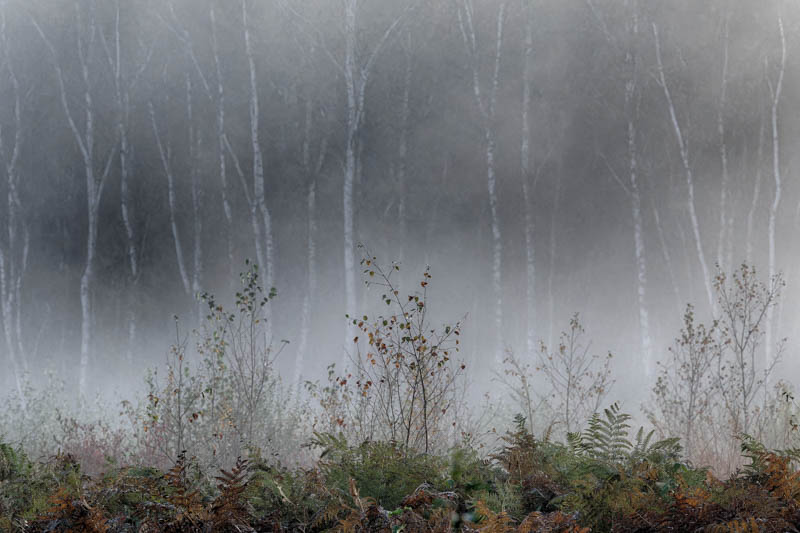 Andrea Lenz Meisterklasse, foto.kunst.kultur