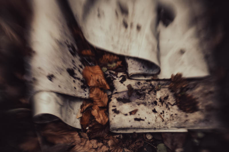 Christa Schiffner, foto.kunst.kultur, Chaos