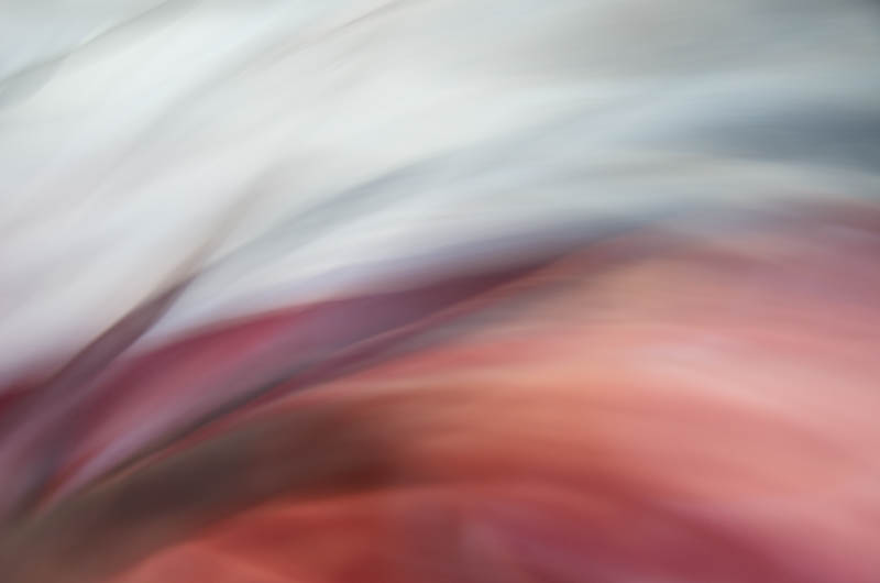Marlies Fischer-Zillinger, Meisterklasse, foto.kunst.kultur