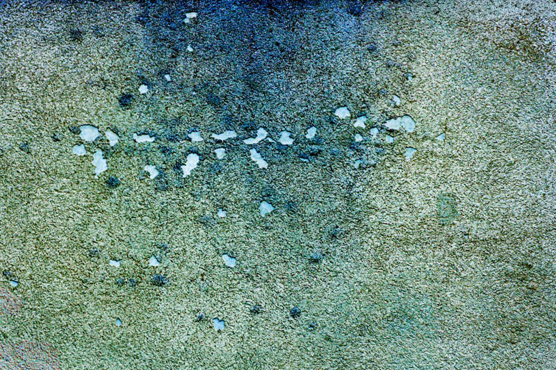 Renate Lupberger, Abstrakte Fotografie, foto.kunst.kultur