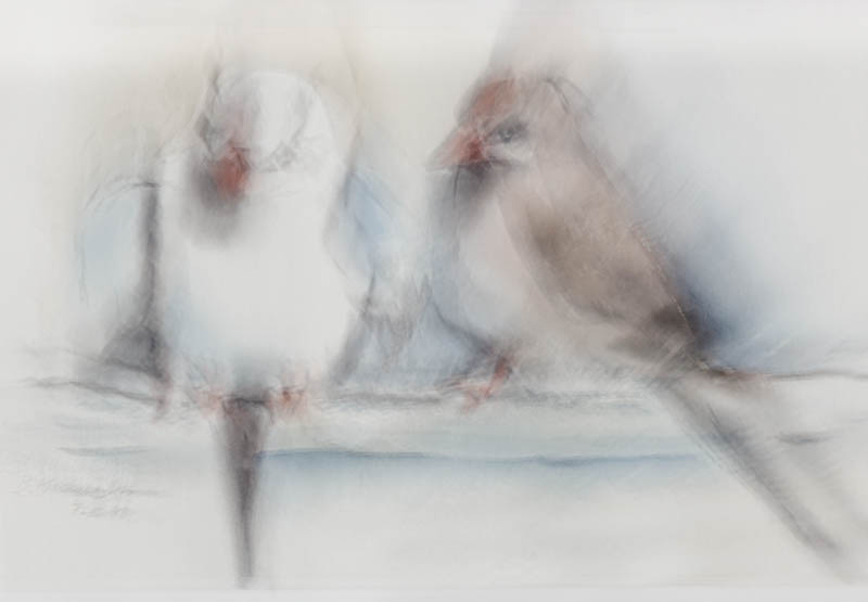 Renate Lupberger, Malen mit der Kamera, foto.kunst.kultur