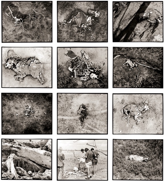Peter Beard. The End of the Game, Taschen-Verlag, foto.kunst.kultur